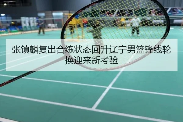 张镇麟复出合练状态回升辽宁男篮锋线轮换迎来新考验