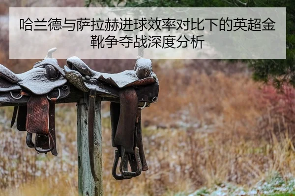 哈兰德与萨拉赫进球效率对比下的英超金靴争夺战深度分析