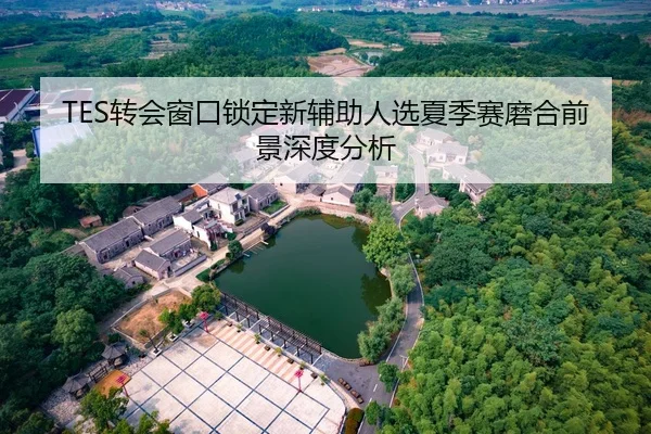 TES转会窗口锁定新辅助人选夏季赛磨合前景深度分析