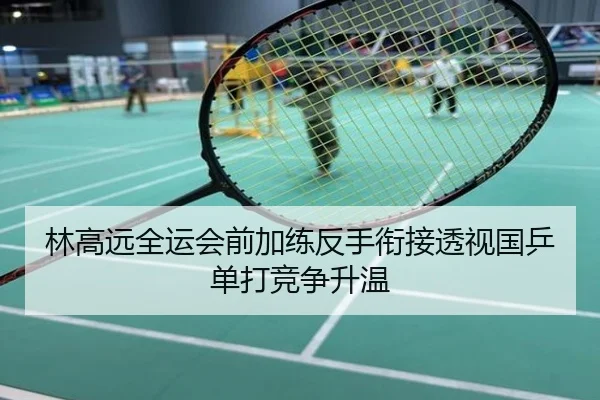 林高远全运会前加练反手衔接透视国乒单打竞争升温